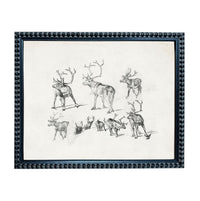 The image is a framed collage of various sketches of deer, including antlers and deer in different poses.