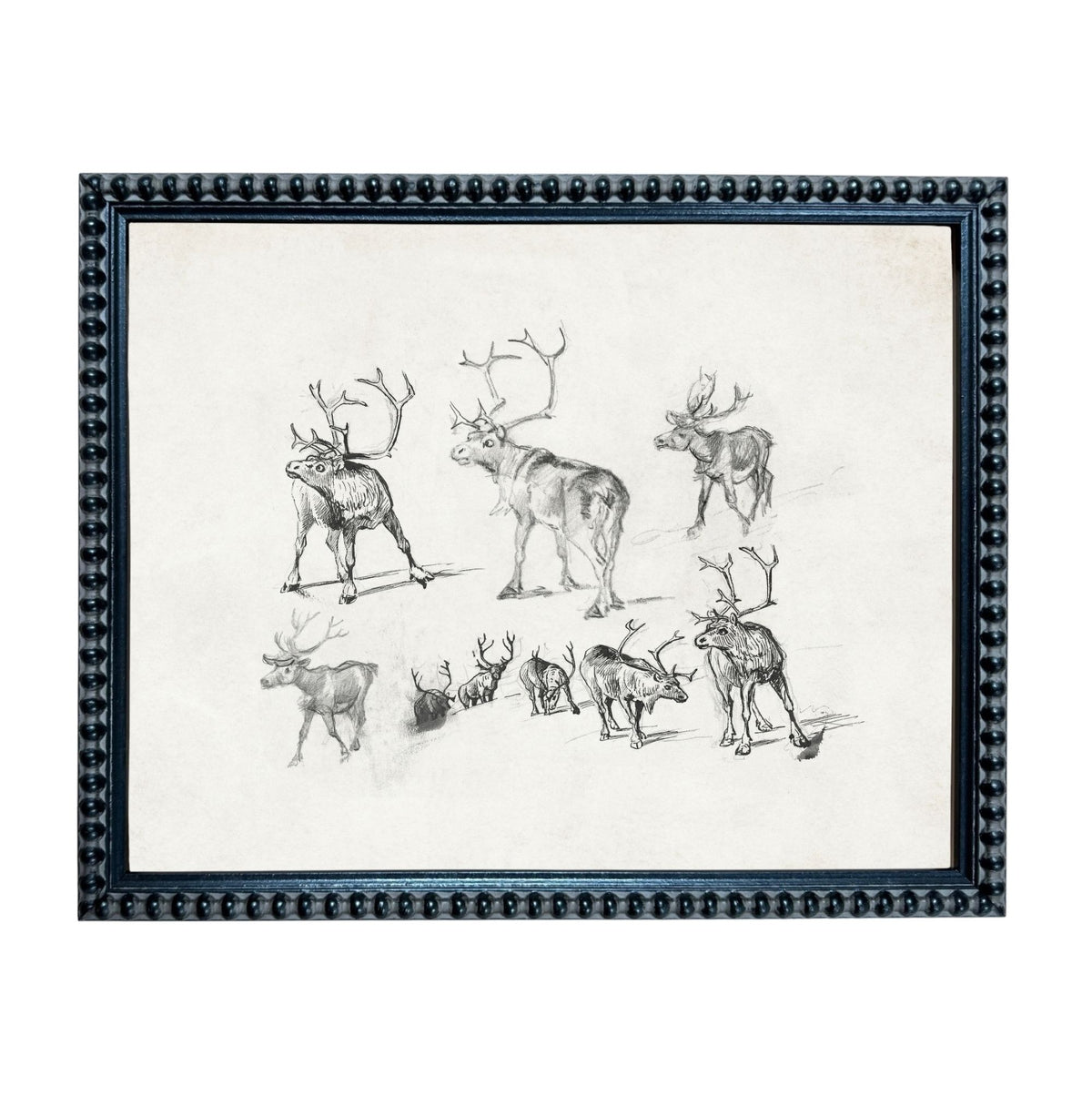 The image is a framed collage of various sketches of deer, including antlers and deer in different poses.