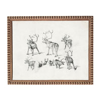 The image is a framed collage of various sketches of deer, including different poses and expressions.