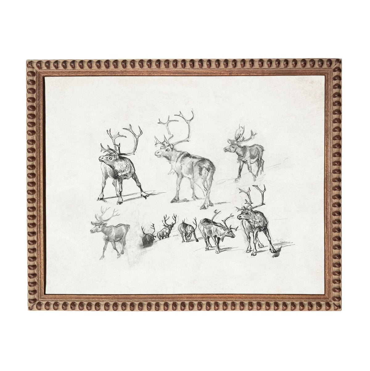 The image is a framed collage of various sketches of deer, including different poses and expressions.