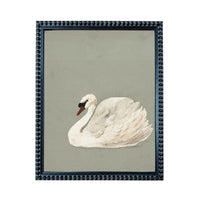 A framed image of a white swan sitting on a gray background.
