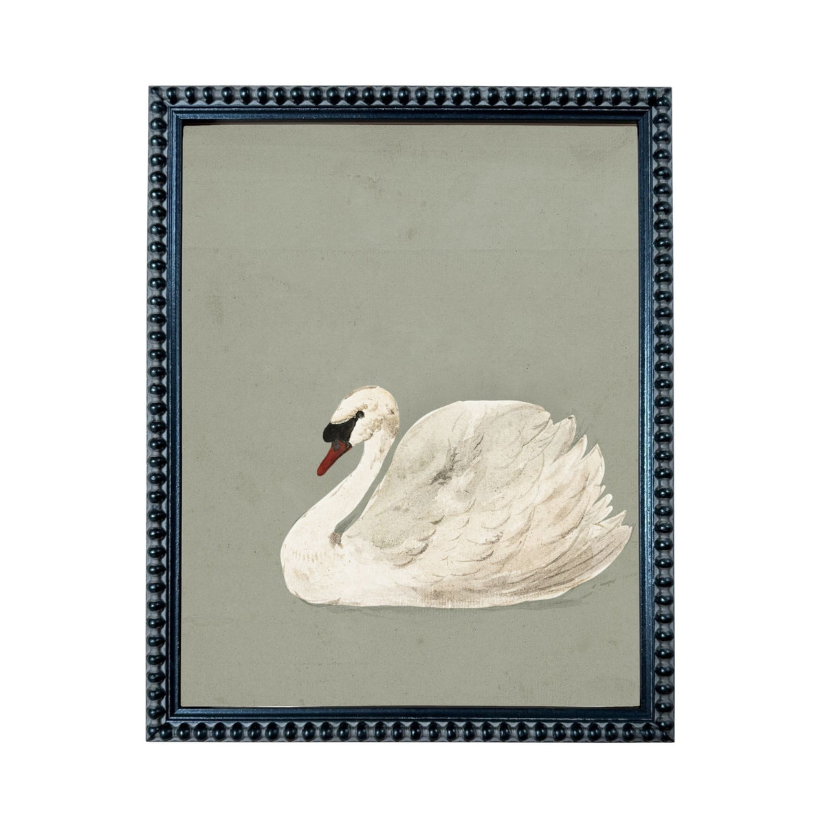 A framed image of a white swan sitting on a gray background.