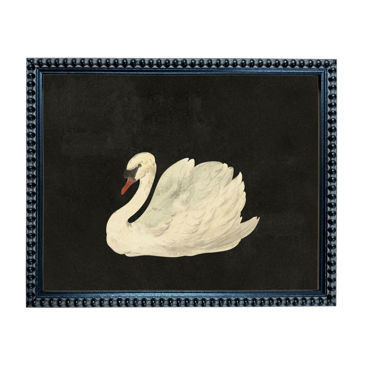 A framed painting of a white swan against a black background.