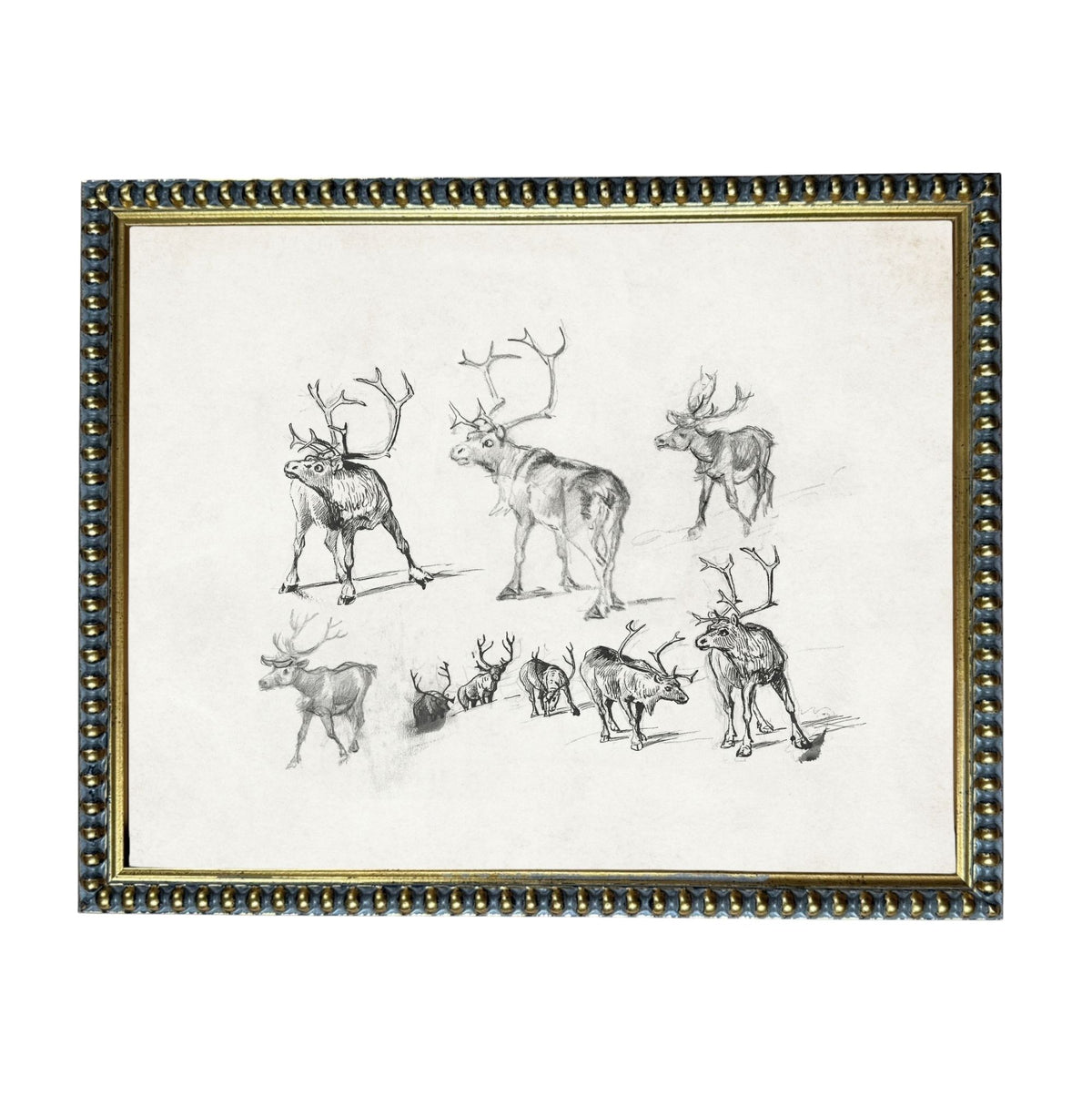 The image is a framed collage of various sketches of deer, including antlers and deer in different poses.