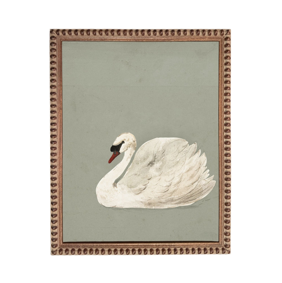 A white swan with a red beak is depicted in a square frame against a light green background.