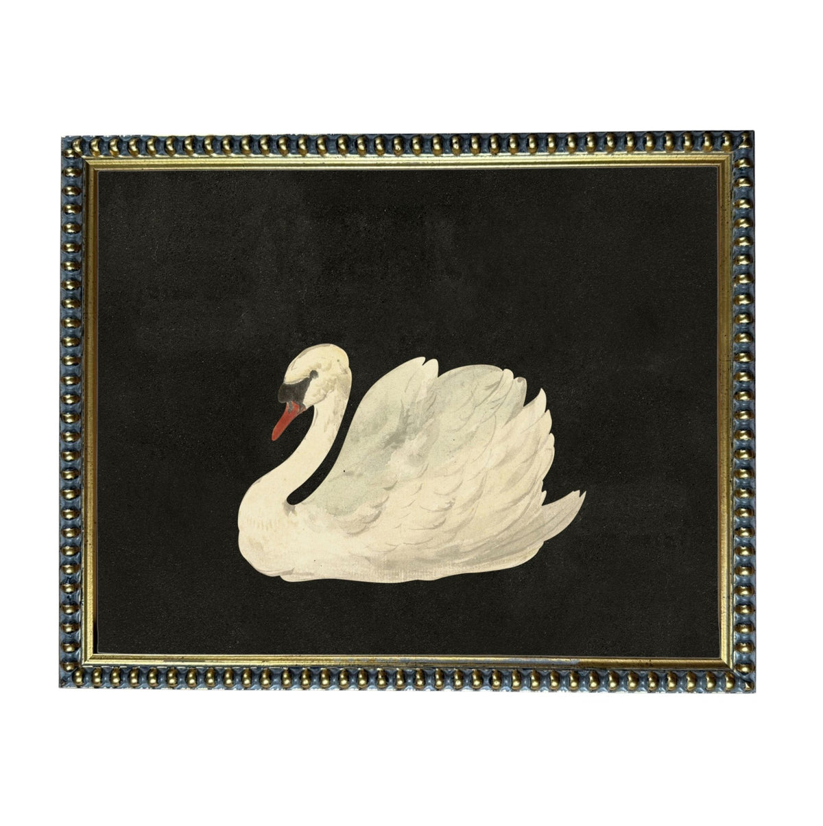 A framed painting of a white swan against a black background.