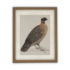 READY TO SHIP 30X40 Vintage Framed Canvas Art // Framed Vintage Print // Vintage Painting //Antique Bird Painting Art //#A-104