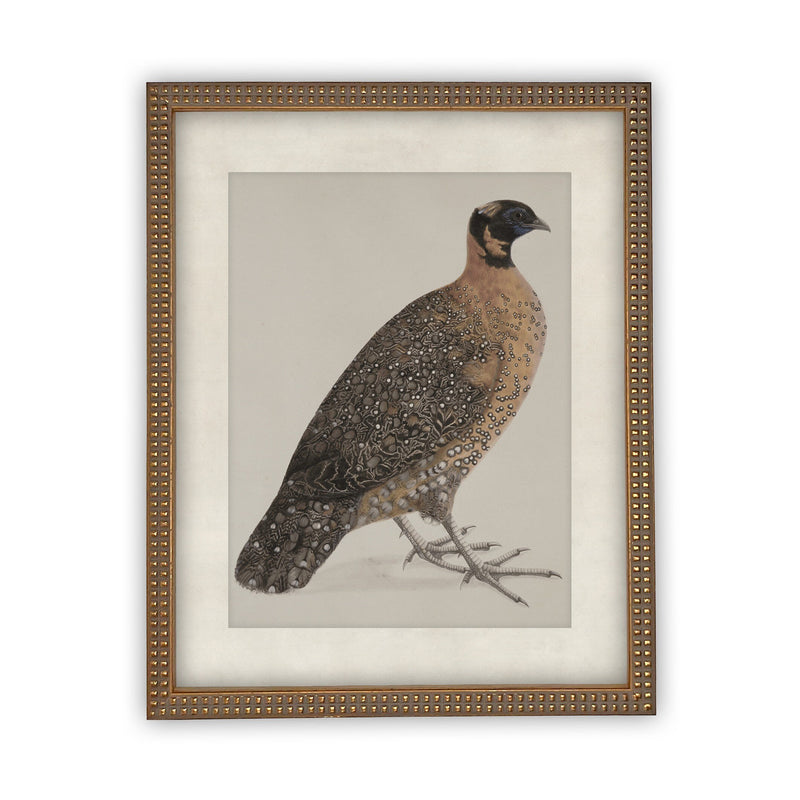 READY TO SHIP 30X40 Vintage Framed Canvas Art // Framed Vintage Print // Vintage Painting //Antique Bird Painting Art //#A-104