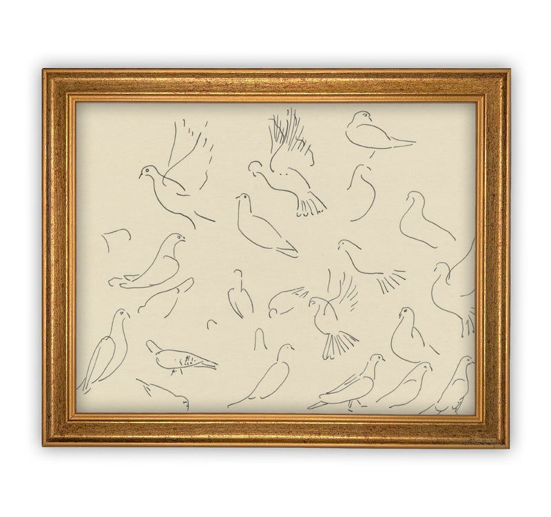 READY to SHIP 11x14 Vintage Framed Canvas Art // Framed Vintage Print // Vintage Bird Painting // Dove Sketch // Farmhouse print //#A-100