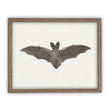 Vintage Framed Canvas Art Bat #H-101