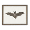 Vintage Framed Canvas Art Bat #H-101