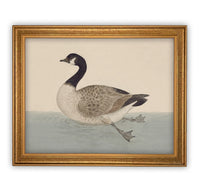 READY TO SHIP 30X40 Vintage Duck Canvas Print: Framed Nursery Art Reproduction