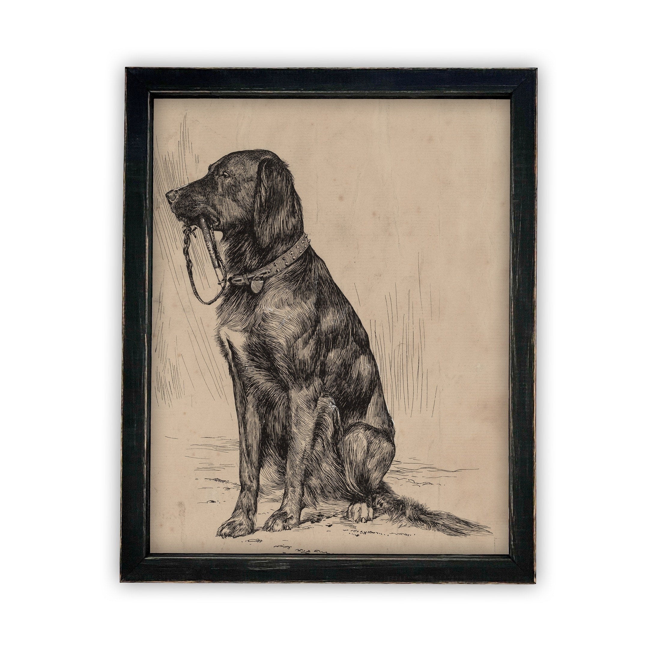 READY TO SHIP 11X14 Vintage Framed Canvas Art // Framed Vintage Print // Black Labrador Painting // Vintage Dog Art// Boys Room //#A-116