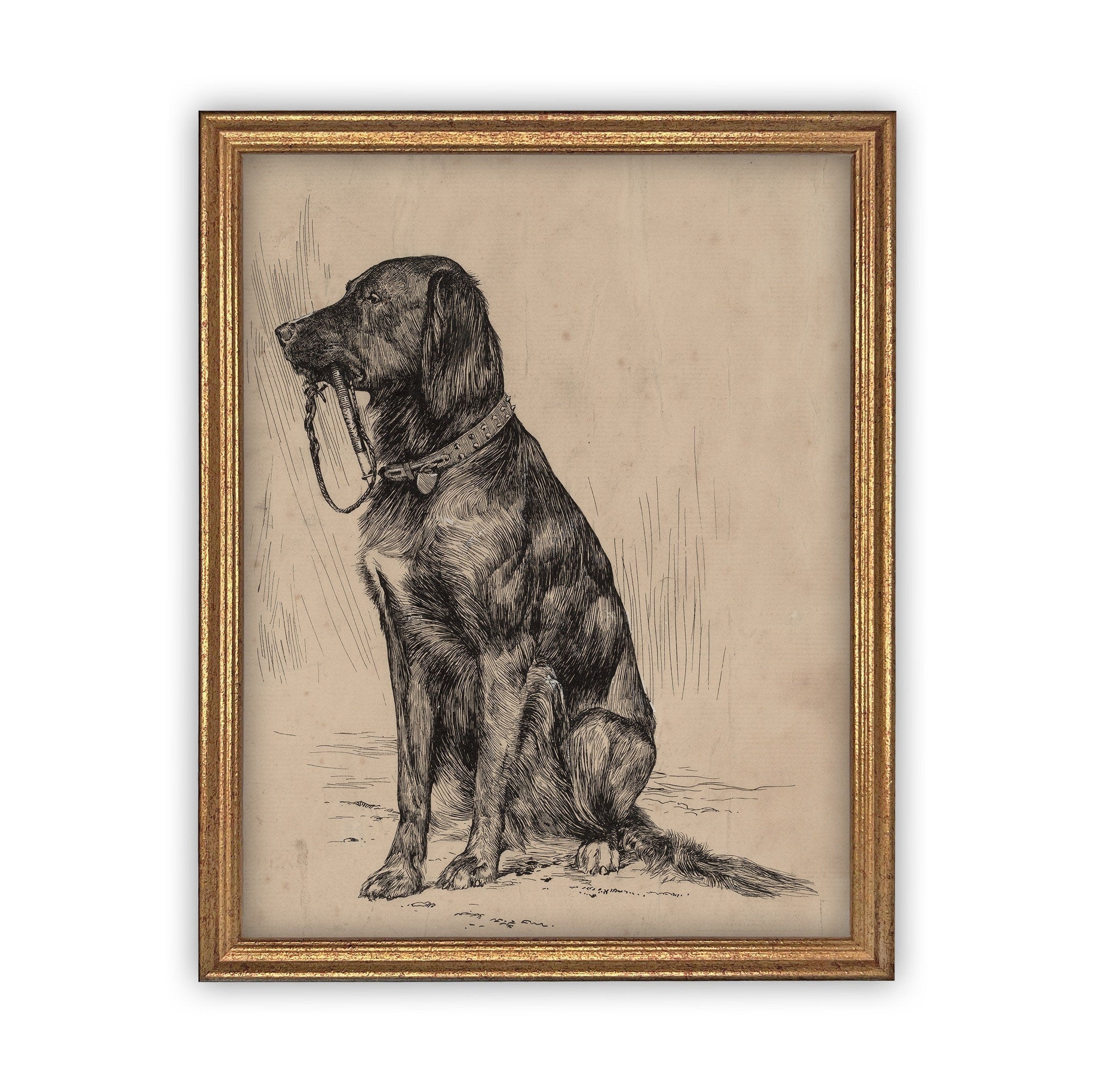 READY TO SHIP 11X14 Vintage Framed Canvas Art // Framed Vintage Print // Black Labrador Painting // Vintage Dog Art// Boys Room //#A-116