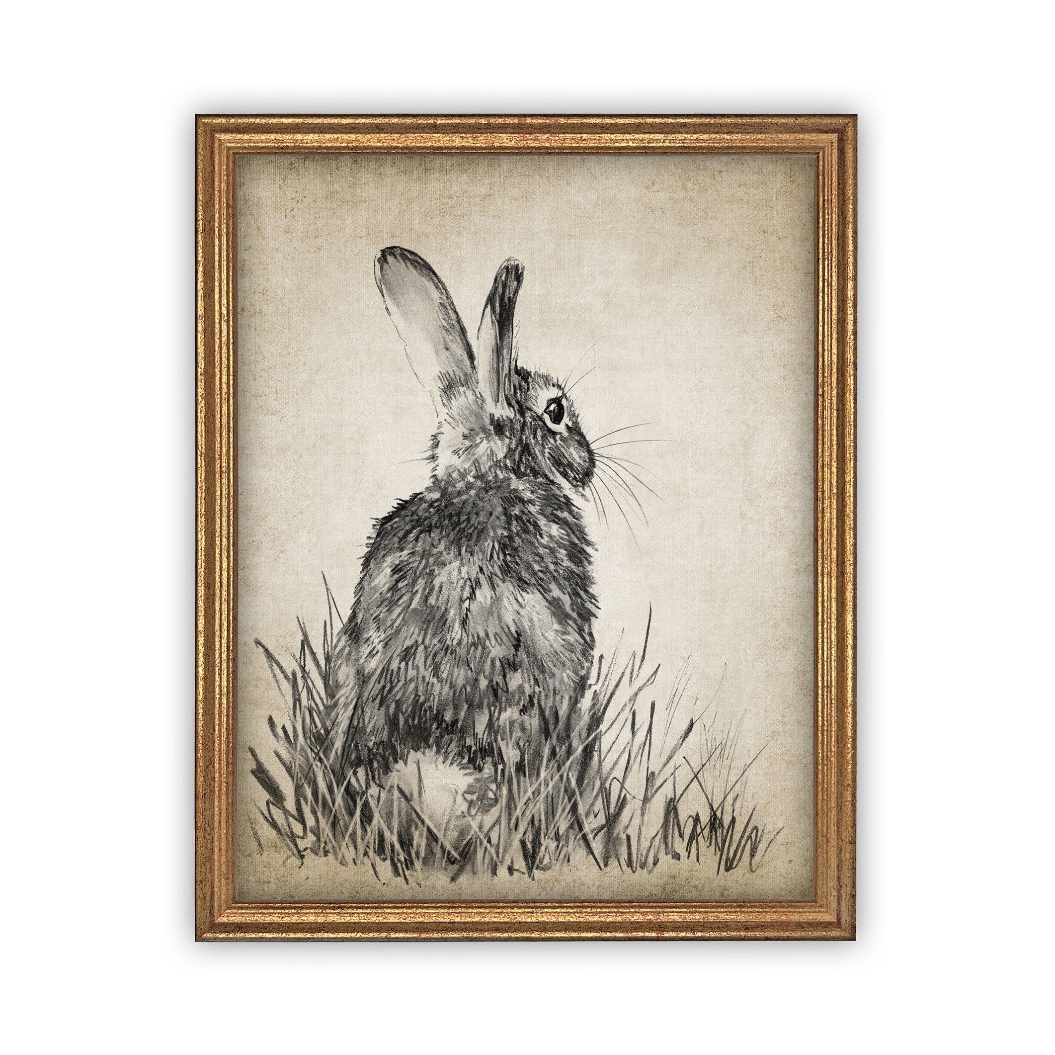 READY TO SHIP 11X14 Vintage Framed Canvas Art // Framed Easter Art // Vintage Rabbit Print // Girls Room or Nursery print //#A-148