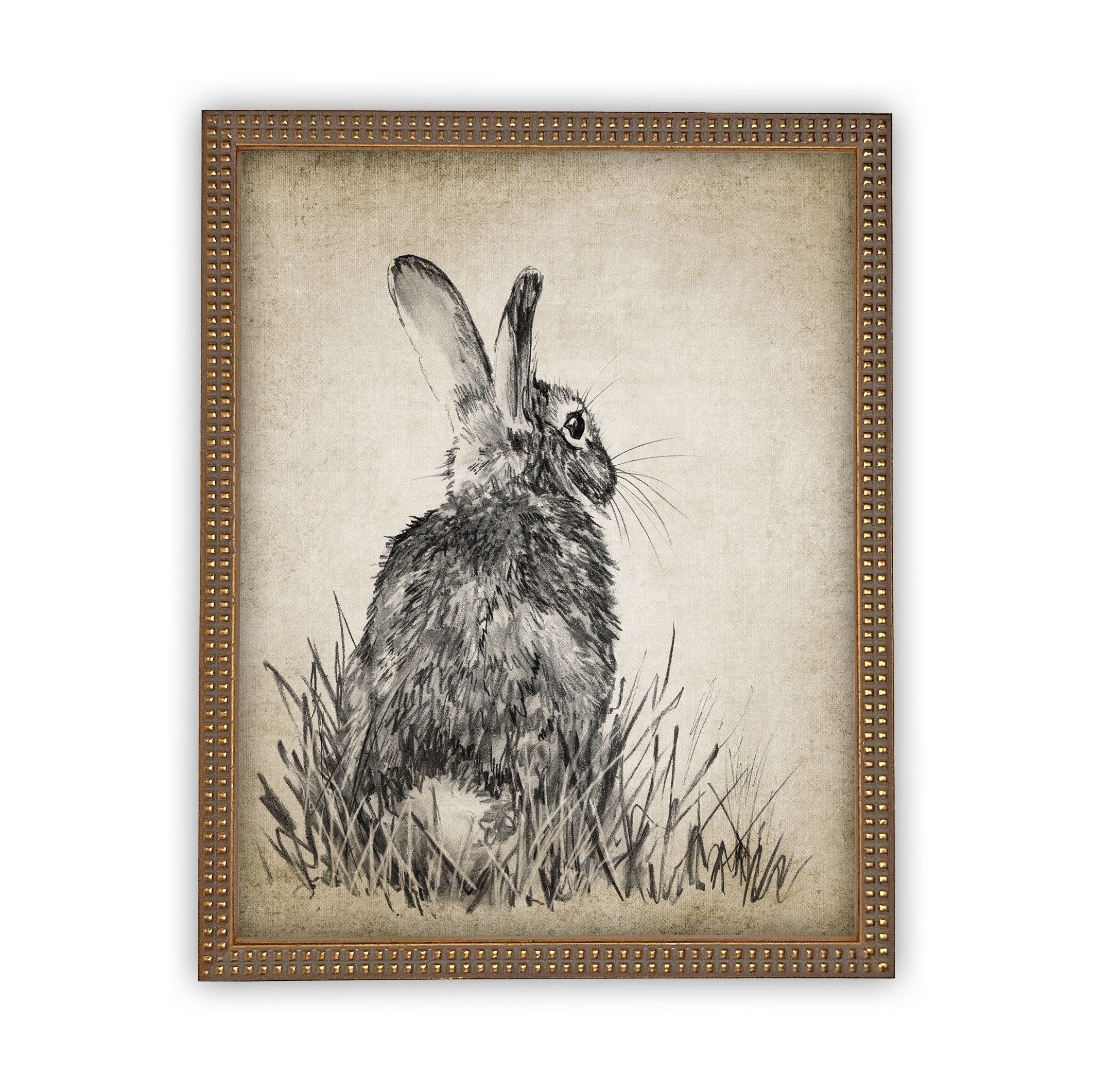 READY TO SHIP 16X20 Vintage Framed Canvas Art // Framed Easter Art // Vintage Rabbit Print // Girls Room or Nursery print //#A-148