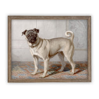 Ready to Ship 11x14 Vintage Framed Canvas Art // Framed Vintage Print // Pug Dog Painting // Vintage Dog Art //#A-114