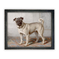 Ready to Ship 11x14 Vintage Framed Canvas Art // Framed Vintage Print // Pug Dog Painting // Vintage Dog Art //#A-114