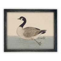 READY TO SHIP 30X40 Vintage Duck Canvas Print: Framed Nursery Art Reproduction