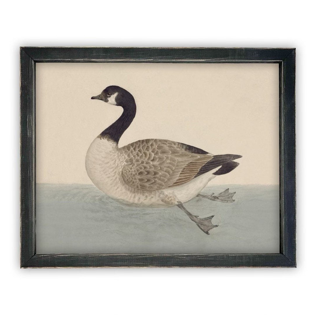 READY TO SHIP 30X40 Vintage Duck Canvas Print: Framed Nursery Art Reproduction
