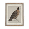 READY TO SHIP 30X40 Vintage Framed Canvas Art // Framed Vintage Print // Vintage Painting //Antique Bird Painting Art //#A-104