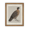 READY TO SHIP 30X40 Vintage Framed Canvas Art // Framed Vintage Print // Vintage Painting //Antique Bird Painting Art //#A-104