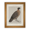READY TO SHIP 30X40 Vintage Framed Canvas Art // Framed Vintage Print // Vintage Painting //Antique Bird Painting Art //#A-104