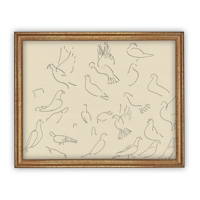 READY to SHIP 11x14 Vintage Framed Canvas Art // Framed Vintage Print // Vintage Bird Painting // Dove Sketch // Farmhouse print //#A-100