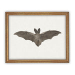 Vintage Framed Canvas Art Bat #H-101