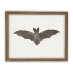 Vintage Framed Canvas Art Bat #H-101