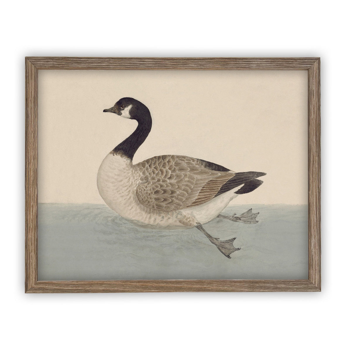 READY TO SHIP 30X40 Vintage Duck Canvas Print: Framed Nursery Art Reproduction