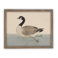 READY TO SHIP 30X40 Vintage Duck Canvas Print: Framed Nursery Art Reproduction