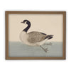 READY TO SHIP 30X40 Vintage Duck Canvas Print: Framed Nursery Art Reproduction