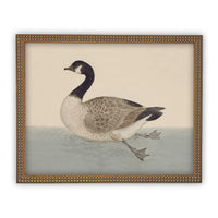 READY TO SHIP 30X40 Vintage Duck Canvas Print: Framed Nursery Art Reproduction