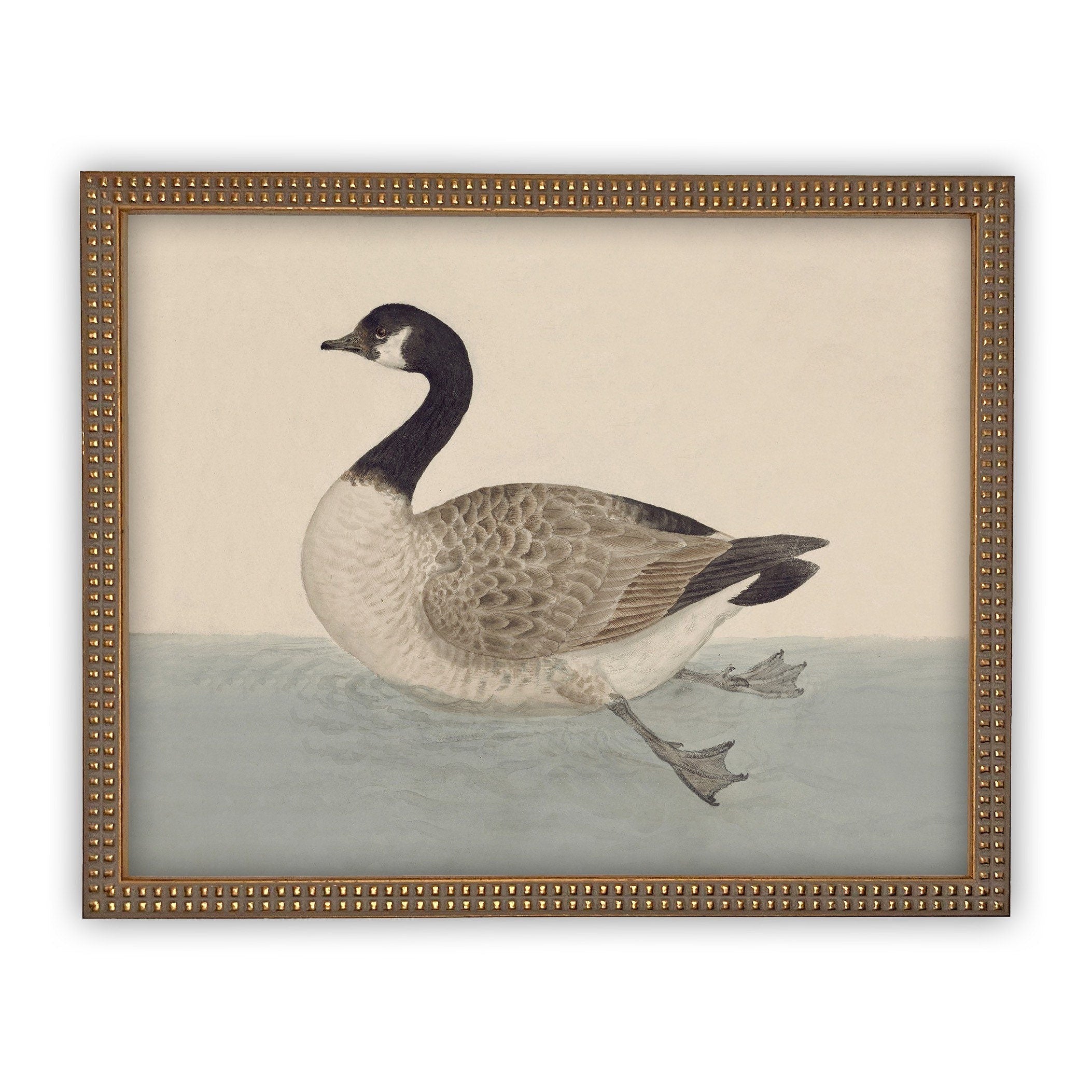 READY TO SHIP 30X40 Vintage Duck Canvas Print: Framed Nursery Art Reproduction