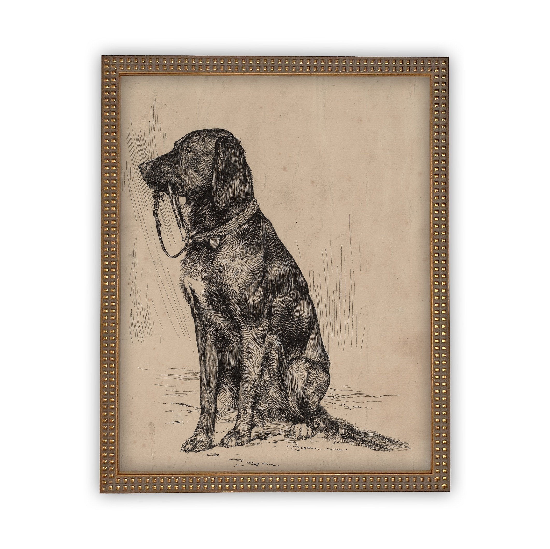 READY TO SHIP 11X14 Vintage Framed Canvas Art // Framed Vintage Print // Black Labrador Painting // Vintage Dog Art// Boys Room //#A-116