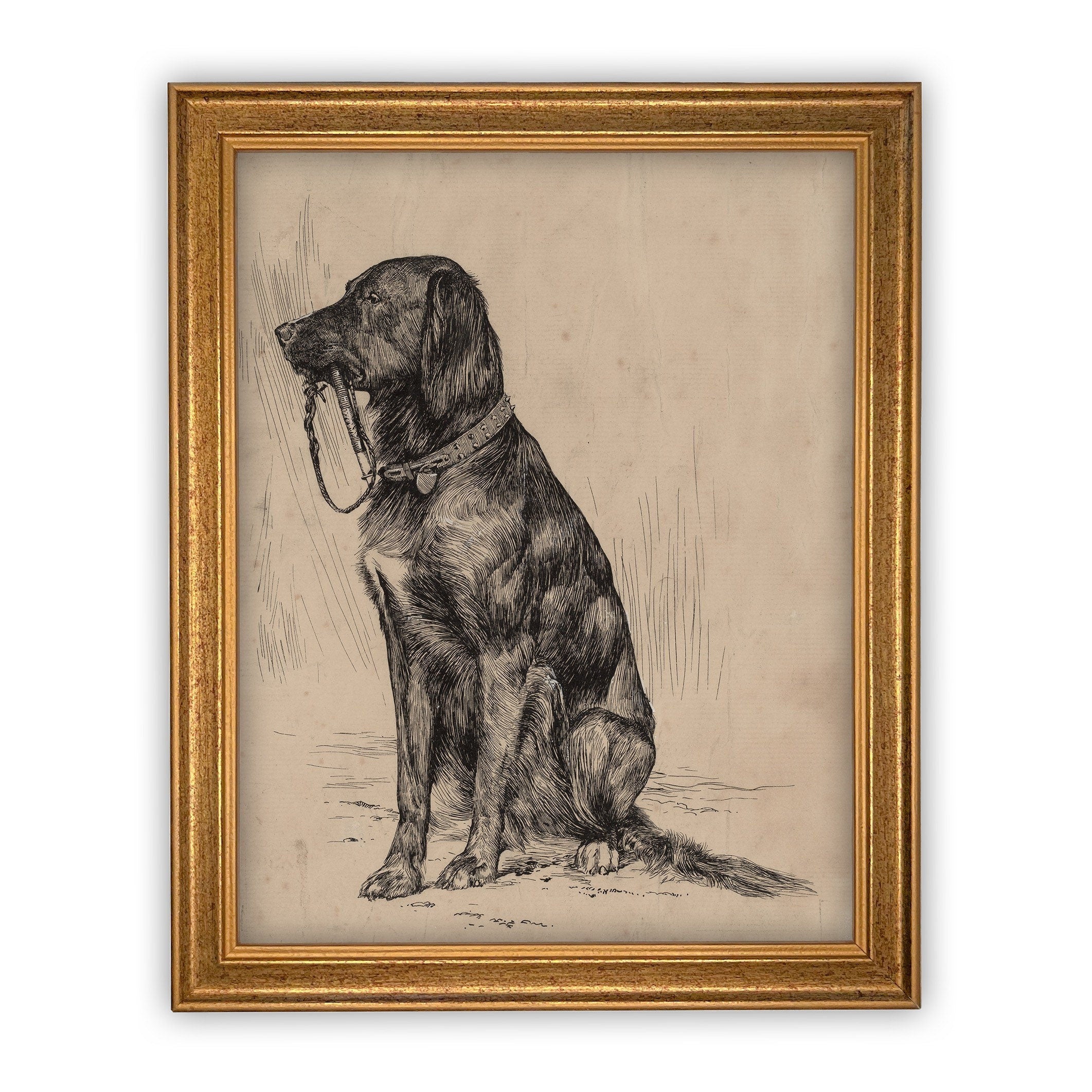 READY TO SHIP 11X14 Vintage Framed Canvas Art // Framed Vintage Print // Black Labrador Painting // Vintage Dog Art// Boys Room //#A-116