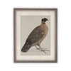 READY TO SHIP 30X40 Vintage Framed Canvas Art // Framed Vintage Print // Vintage Painting //Antique Bird Painting Art //#A-104