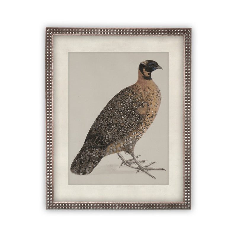 READY TO SHIP 30X40 Vintage Framed Canvas Art // Framed Vintage Print // Vintage Painting //Antique Bird Painting Art //#A-104