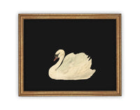 READY TO SHIP 11X14 Vintage Framed Canvas Art // Framed Vintage Print // Vintage Painting // Black Swan Art // Girls Room //#A-102