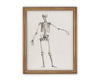 Vintage Framed Canvas Skeleton Sketch Art #H-105