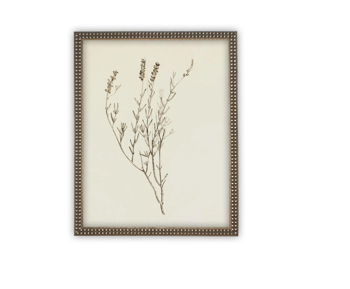 READY TO SHIP 16X20 Vintage Framed Botanical Canvas Print: Farmhouse Art
