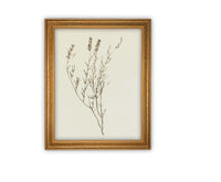 READY TO SHIP 16X20 Vintage Framed Botanical Canvas Print: Farmhouse Art