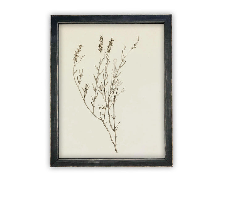 READY TO SHIP 16X20 Vintage Framed Botanical Canvas Print: Farmhouse Art