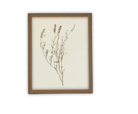 READY TO SHIP 16X20 Vintage Framed Botanical Canvas Print: Farmhouse Art