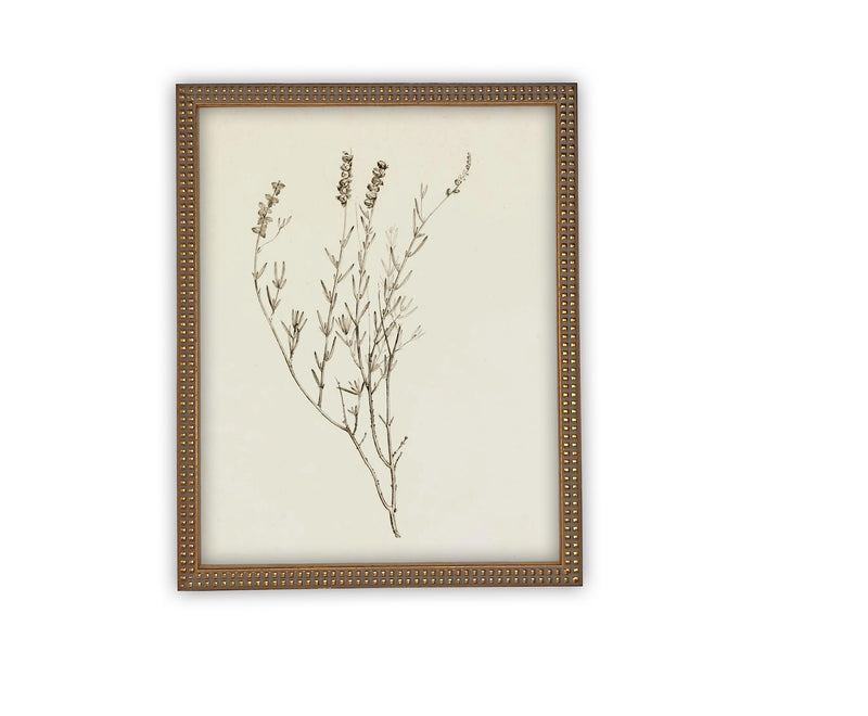 READY TO SHIP 16X20 Vintage Framed Botanical Canvas Print: Farmhouse Art