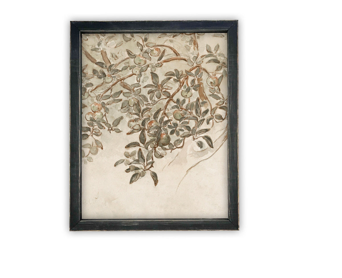 READY to SHIP 16X20 Vintage Framed Canvas Art // Framed Vintage Print // Botanical Sketch // Farmhouse print //#BOT-146