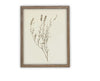 READY TO SHIP 16X20 Vintage Framed Botanical Canvas Print: Farmhouse Art