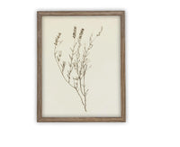 READY TO SHIP 16X20 Vintage Framed Botanical Canvas Print: Farmhouse Art