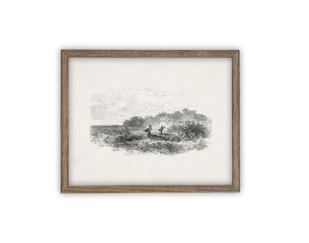 READY to SHIP 11X14 Vintage Framed Canvas Art #LAN-226